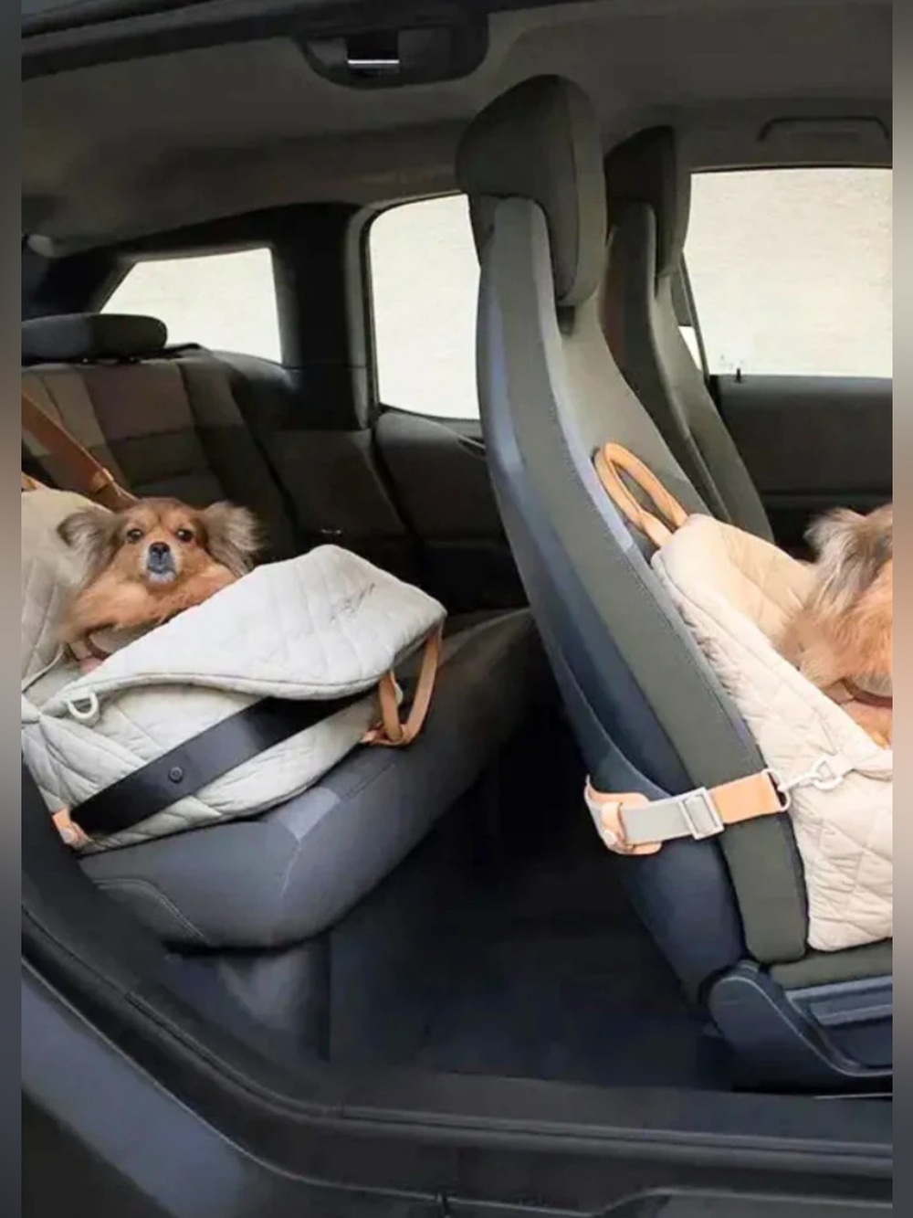 NEW Pet Car Seat & Carrier | Rockstar Puppy | Retail $180